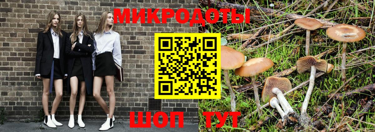 Псилоцибиновые грибы GOLDEN TEACHER  Вход с VPN  купить  сайты  Вольск 